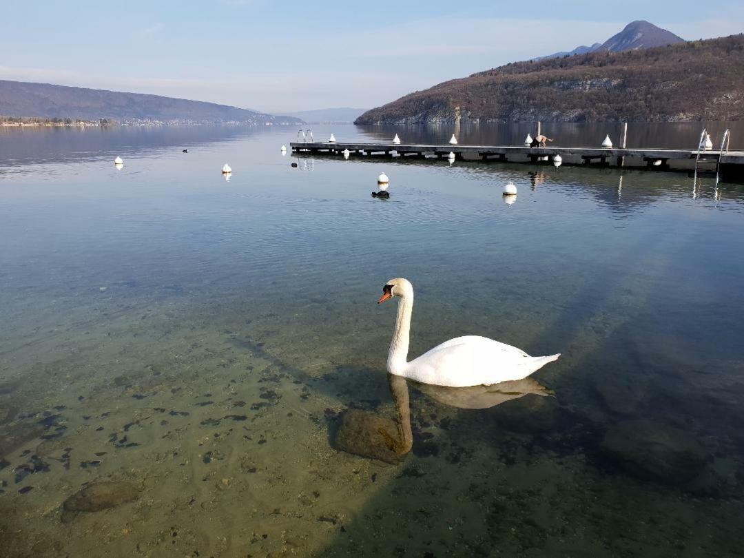 La Baie des Voiles 3 chambres 4 à 6 personnes au bord du lac plage privée Duingt Exterior foto